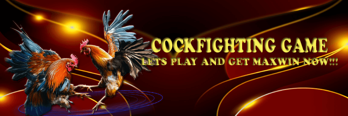 Sabung Ayam - ZIPPOPLAY - Platform Game Terpercaya